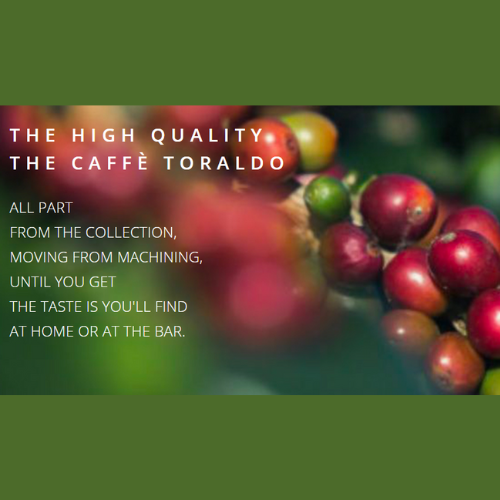 Maargo Food & Wine Wholesale – Engroshandel Instant kaffe/espresso – Toraldo 150 kaffekande Miscela Forte e Cremoso (Stærk & Cr2