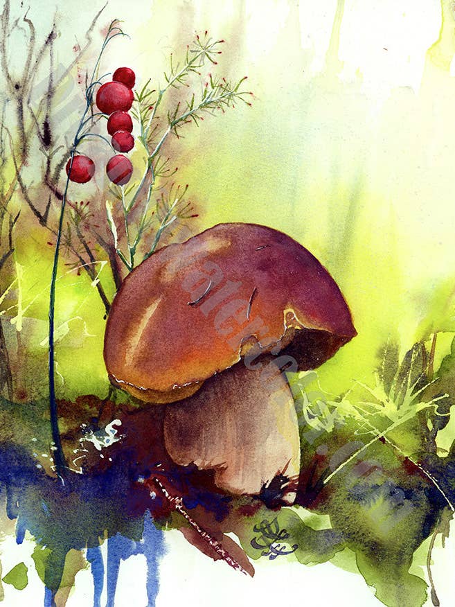 Penny Bun/Bolete - Mushroom Collection Print for wholesale by Dream In Watercolor