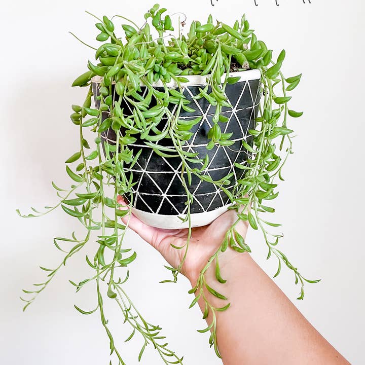 Above The Soil - Wholesale Trellis - Copper Endless Circle Plant Trellis - 3 Sizes!4