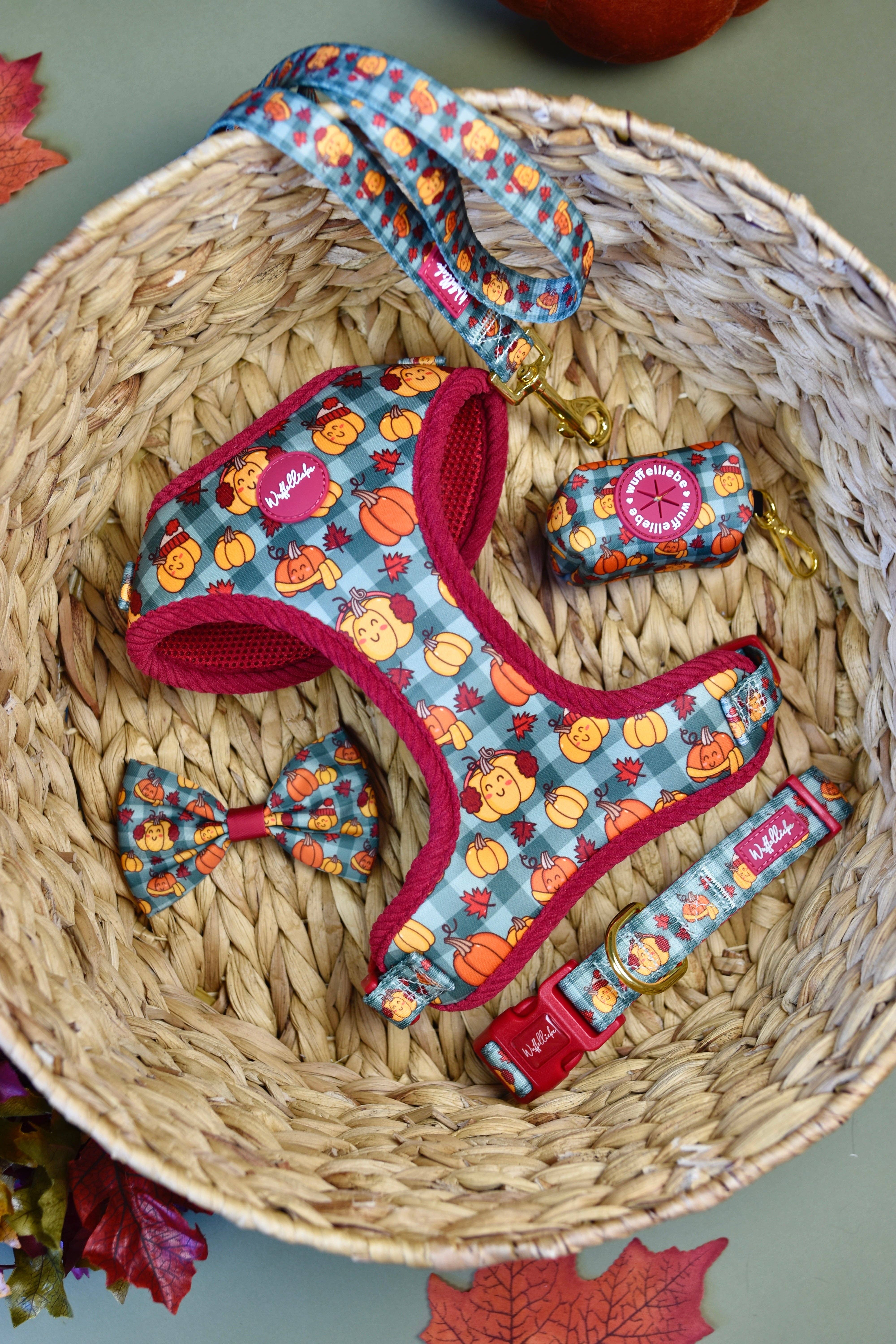 Wuffelliebe - Wholesale Pet Harness - Dog - Cosy Pumpkin Patch - Tableware4