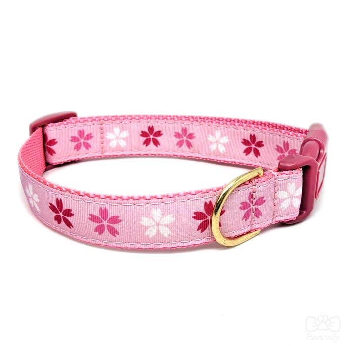 Pawsonify - Wholesale Pet Collar - Cat - Cherry Blossom Collar5