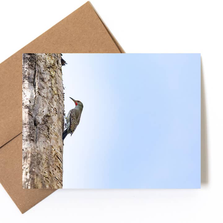 "Thirds" Nature Photo Greeting Card for wholesale by Andrea Morris Art