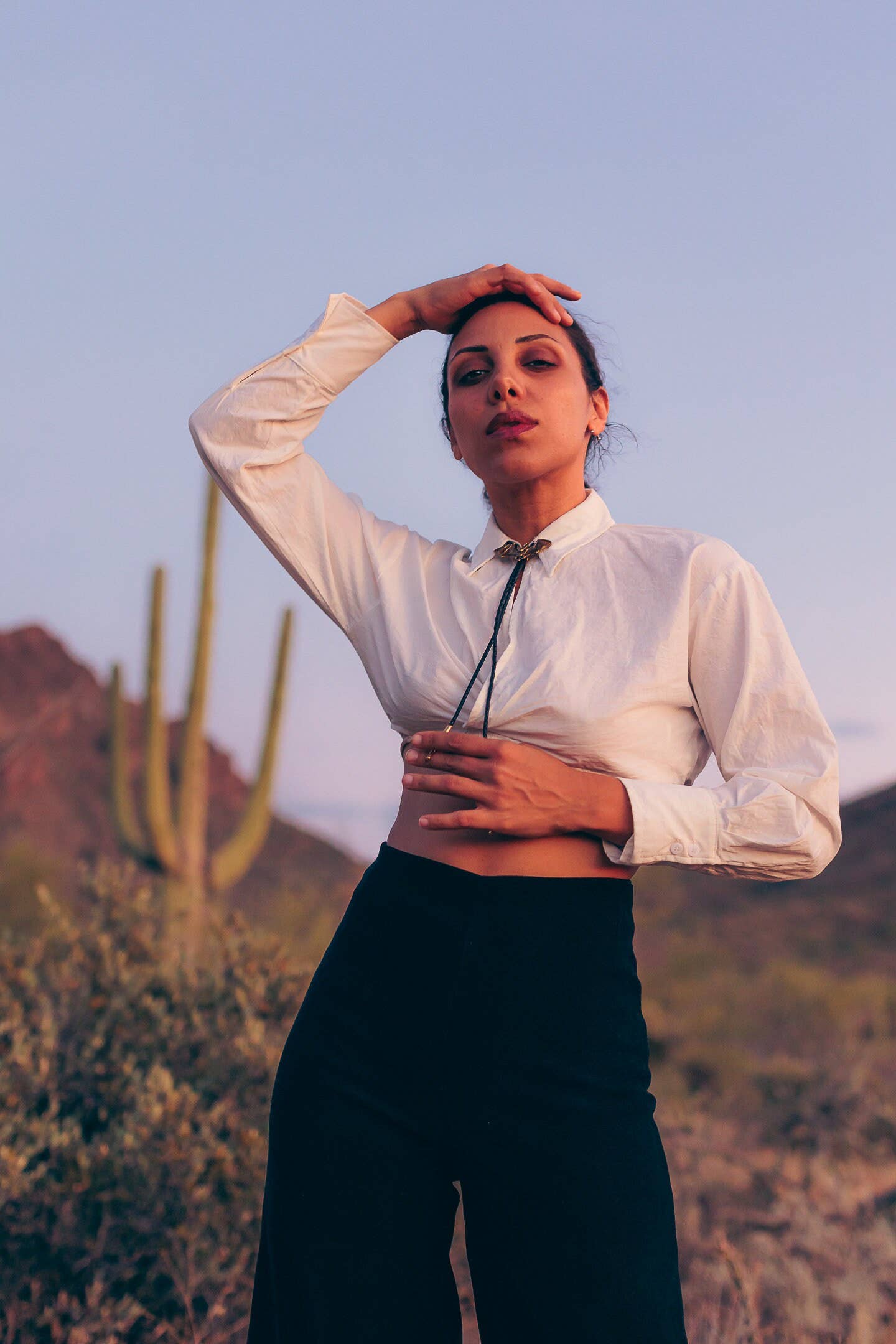 HELIOTROPE – wholesale Slipsar – Herr – Bat Bolo Tie - Blek fladdermus6