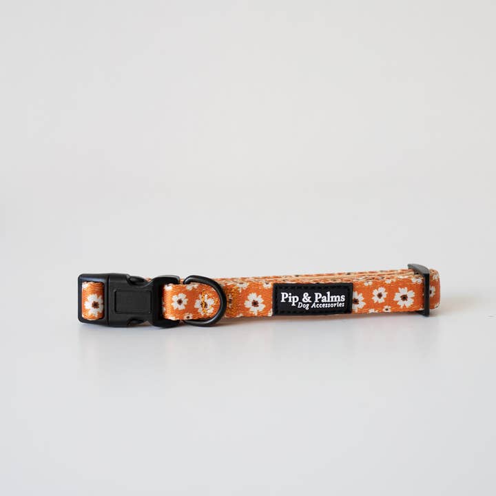 Collar para Perros Ditzy Daisy para venta al por mayor de Pip and Palms