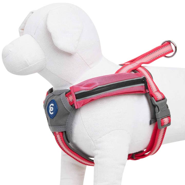 Blueberry Pet - Wholesale Pet Harness - Dog - Better Basics Reflective Dog Harness with Treat Pocket