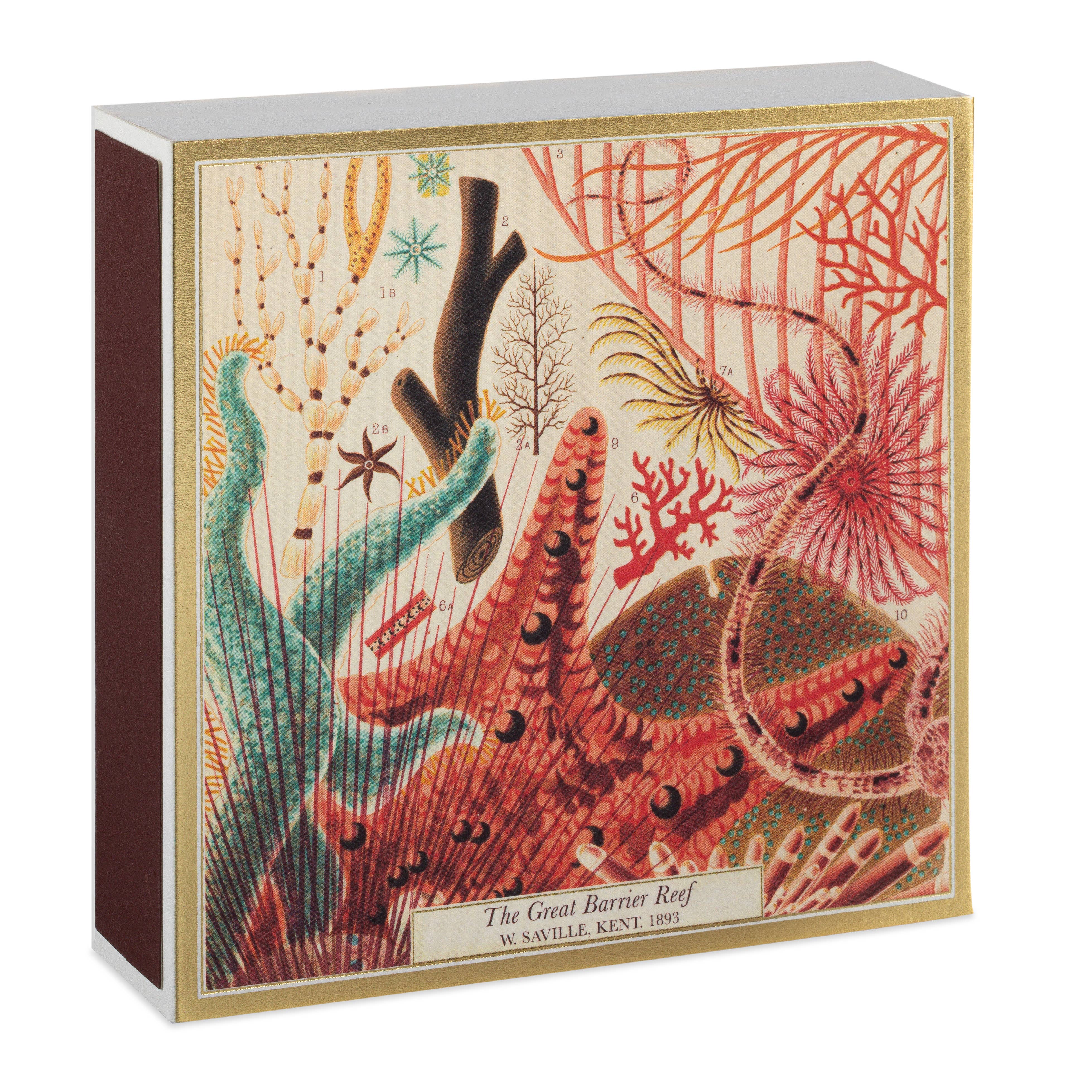 Archivist Gallery | UK - Wholesale Matches - Great Barrier Reef | Square Matchboxes2
