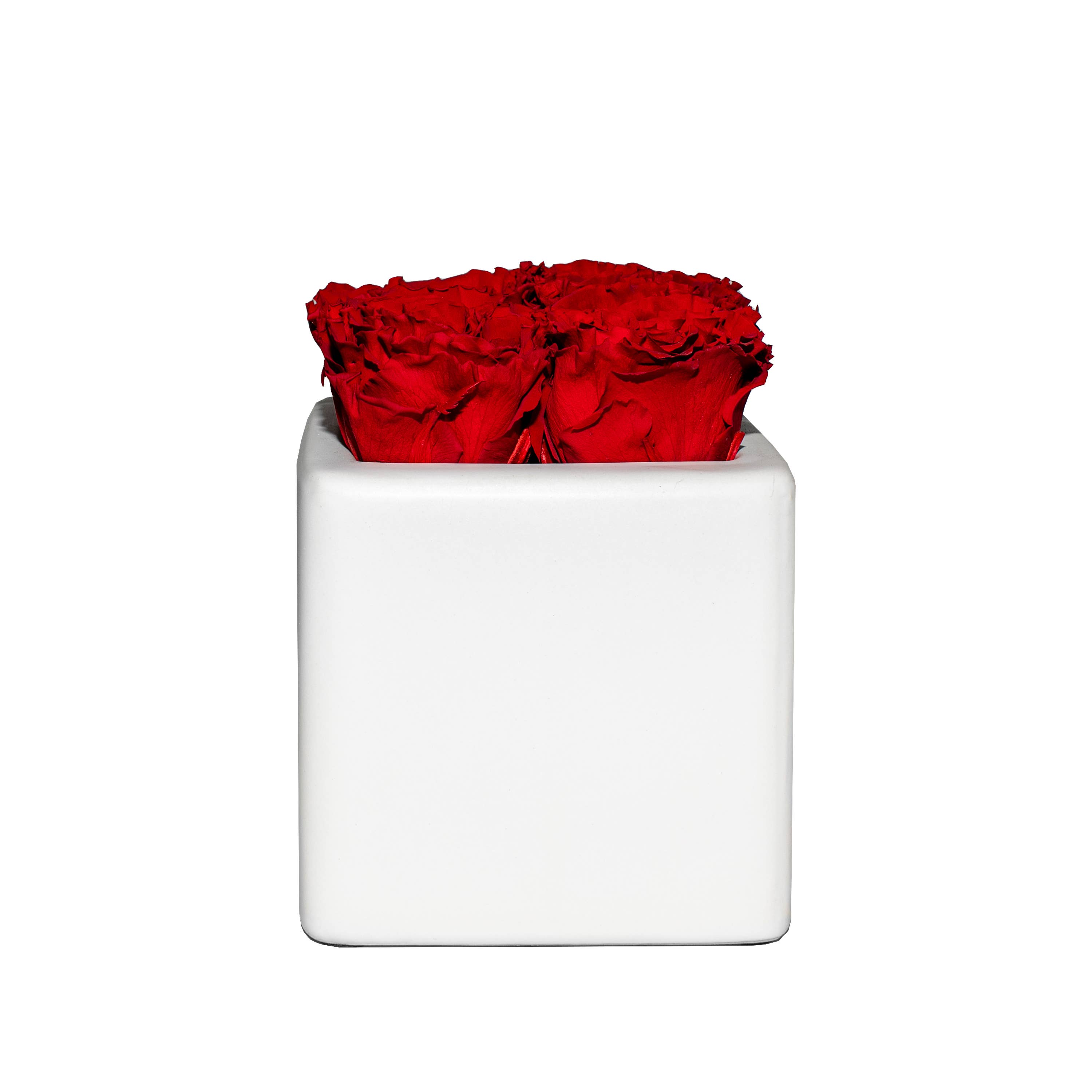 Eternal Fleur - Wholesale Artificial flowers - Red Carnations White Grand Square
