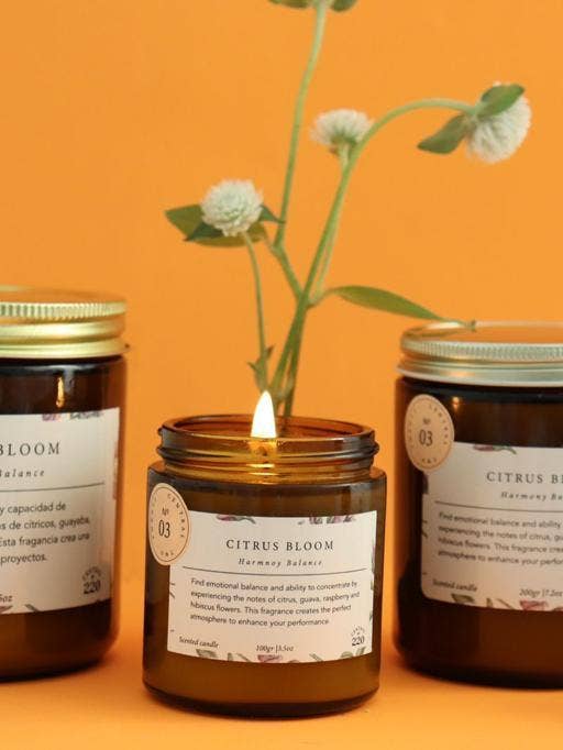 03 | Balance | Citrus Bloom | Bougie parfumée pour la vente par Central 220