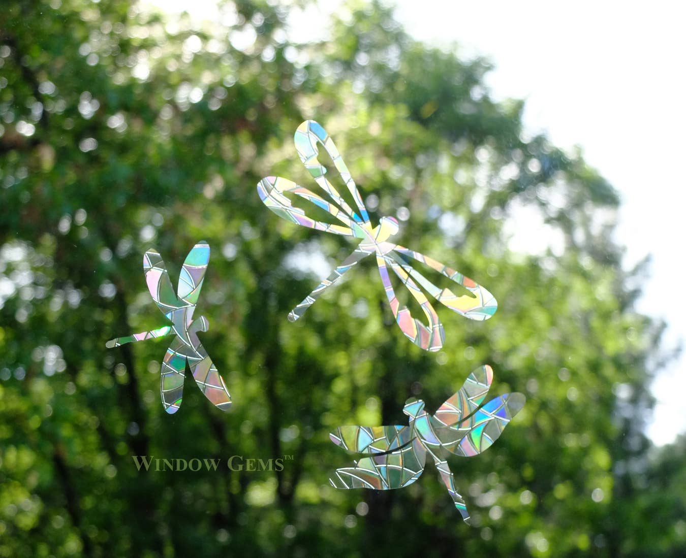 Window Gems - Wholesale Suncatcher - Dragonfly Window Clings - Bird Strike Warning Decals - Prism1