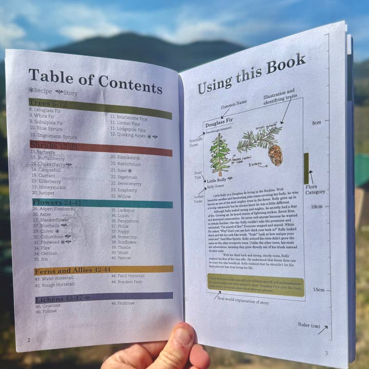 Quirks of Art co. - Wholesale Nature & Outdoors Book - Meg's Guide to the Common Flora of the High Rockies1