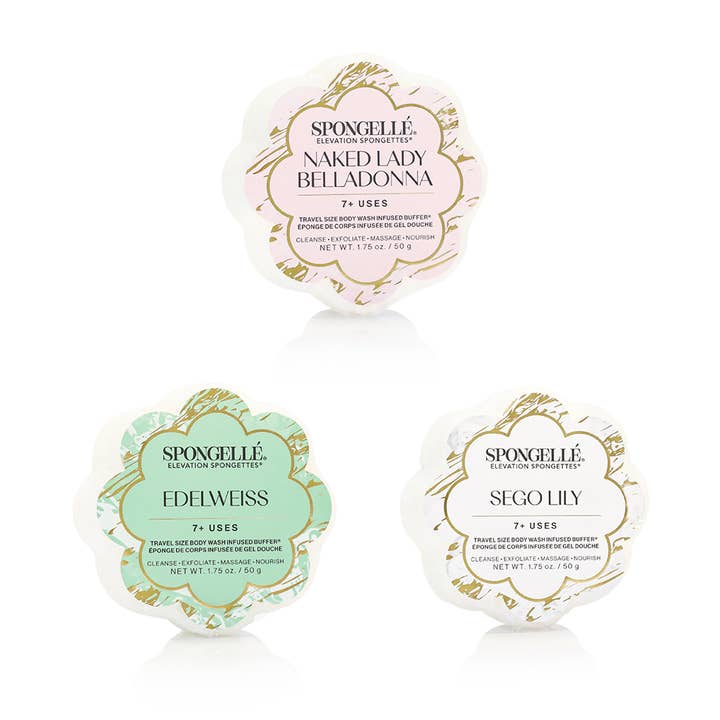 Spongellé - Wholesale Bath Pouf/Sponge - Elevation Spongette Assorted Pack  | Soap Sponge | Soap Buff