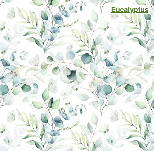 L'aiguille de Sha - Wholesale Makeup Remover - Makeup remover wipes refill33