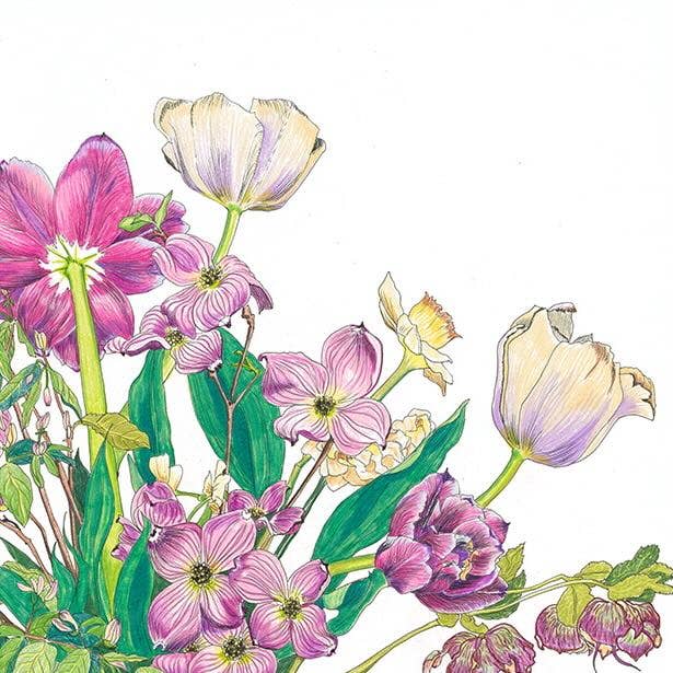 Vivid Cottage - Wholesale Tea Towel - Tea Towel - Dogwood Delight1