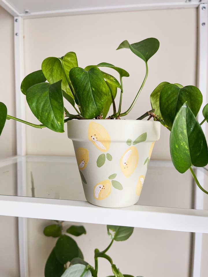 Lemony Pot | Hand Painted Terracotta Pot with Drainage Hole for wholesale by Aloe Painted Pots
