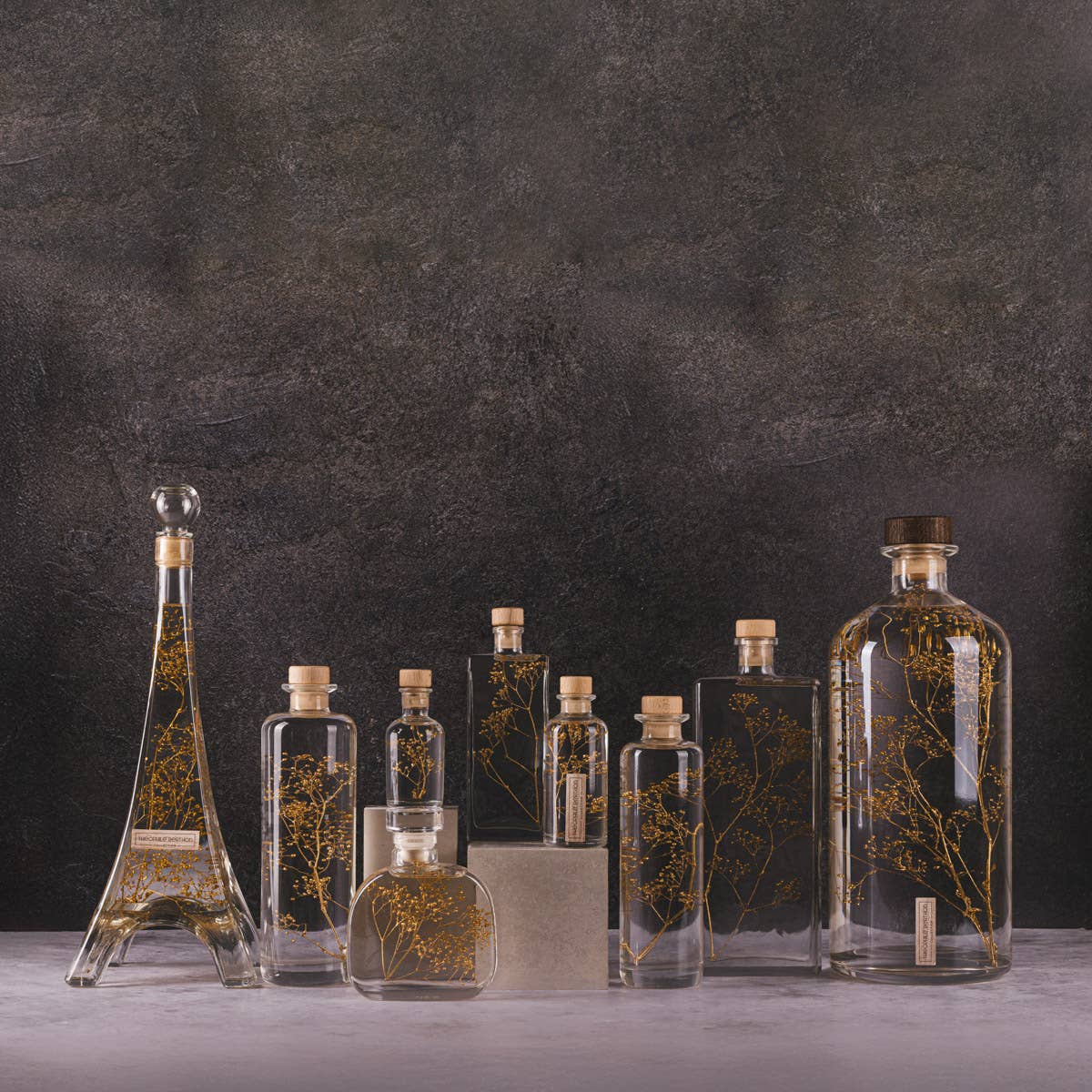 Theophile Berthon – Großhandel Pflanzen – Das Herbarium Schleierkraut Gold - XL-Glas - eingetauchte Pflanze10