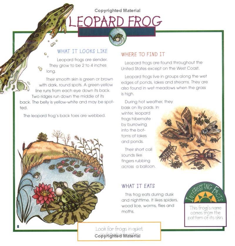 REMOVED BRAND - Wholesale Nature & Outdoors - Frogs, Toads & Turtles: Take Along Guide2