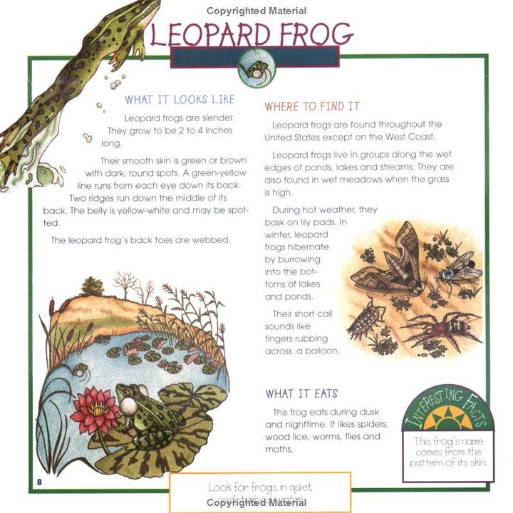 REMOVED BRAND - Wholesale Nature & Outdoors - Frogs, Toads & Turtles: Take Along Guide2