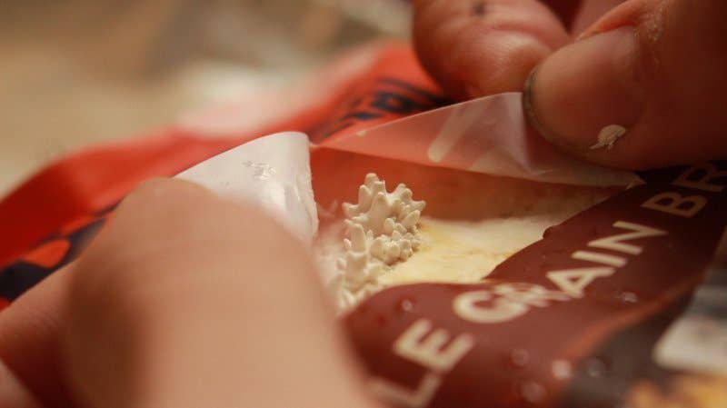 The Mushroom Conservatory LLC - Venta al por mayor Kit de cocina - Paquete variado de 12 kits para cultivar setas gourmet comestibles DIY11