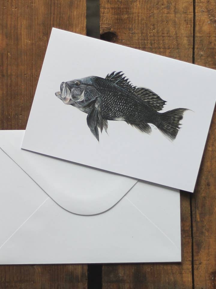 black bass - notecard for wholesale by stück in the studio