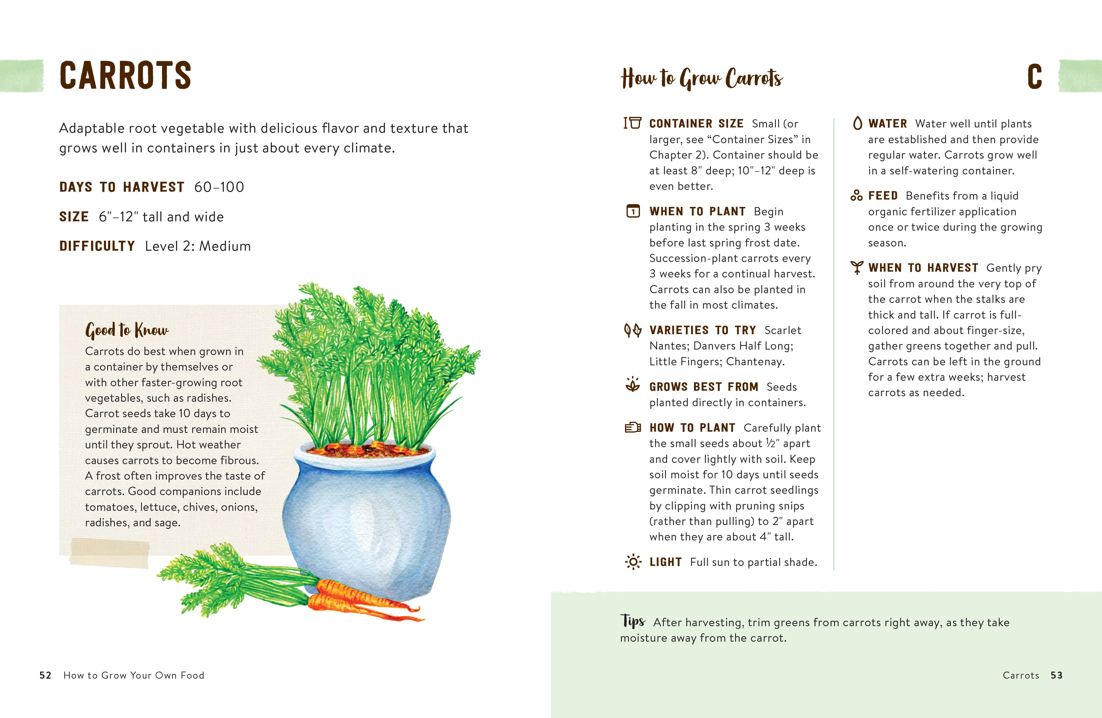 Simon & Schuster UK – wholesale Home and garden – How to Grow Your Own Food1