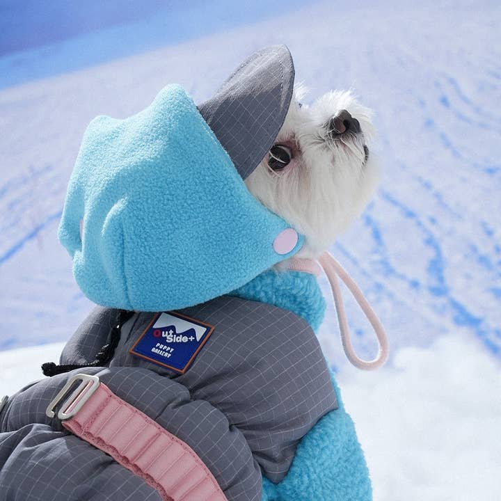 Puppy Gallery - Wholesale Pet Hat - Dog - Ear Cover Fleece Hat2