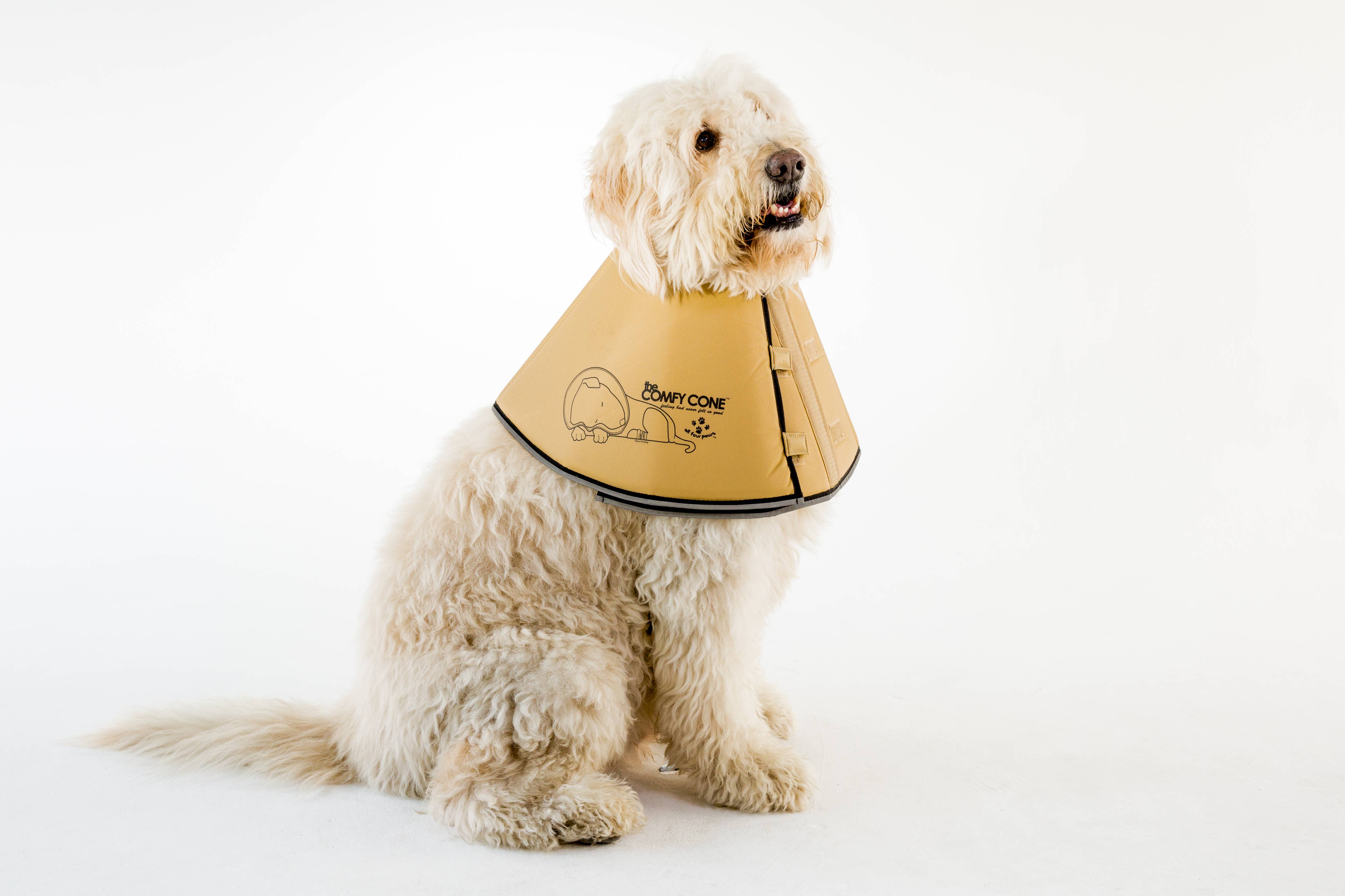All Four Paws - Wholesale Halsband - Hond - M-The Original Comfy Cone - Comfortabele zachte kraag voor huisdieren3