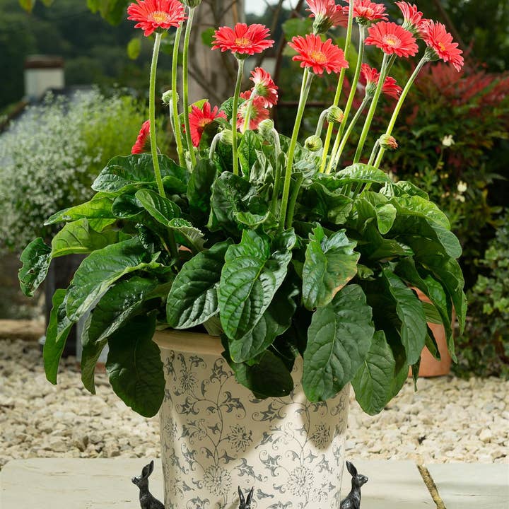 Lot de 3 petits pieds de pot de fleurs en forme de lièvre assis en bronze pour la vente par Jardinopia UK