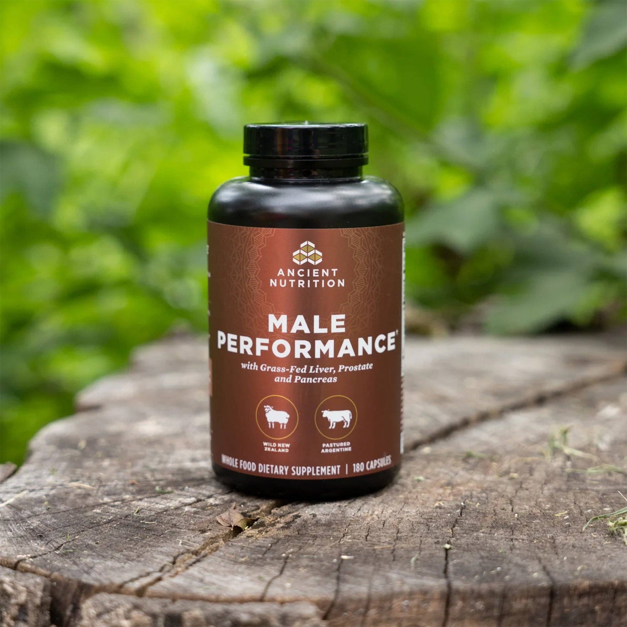 Black Male Performance | Capsules (180 Capsules) for wholesale on Faire4