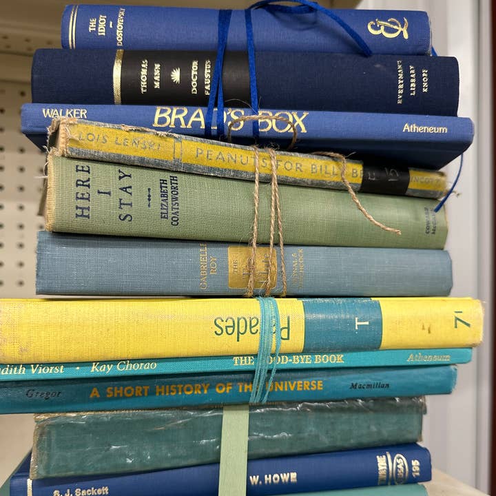 Made Market Co. - Wholesale Decorative Tabletop Object - Decorative Vintage Books Decor - Cool Colors. Set of 38