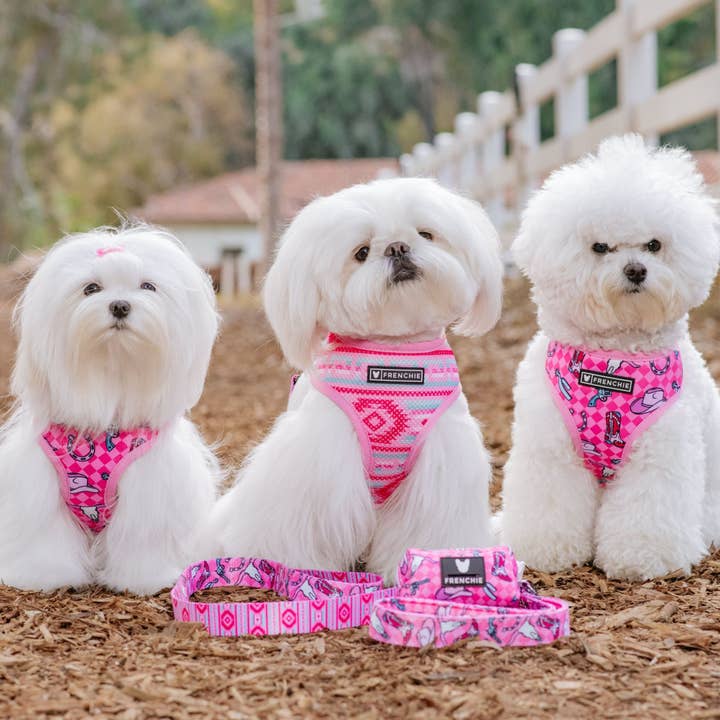 Frenchie - Wholesale Pet Harness - Dog - Frenchie Duo Reversible Harness - Wild West- Pink