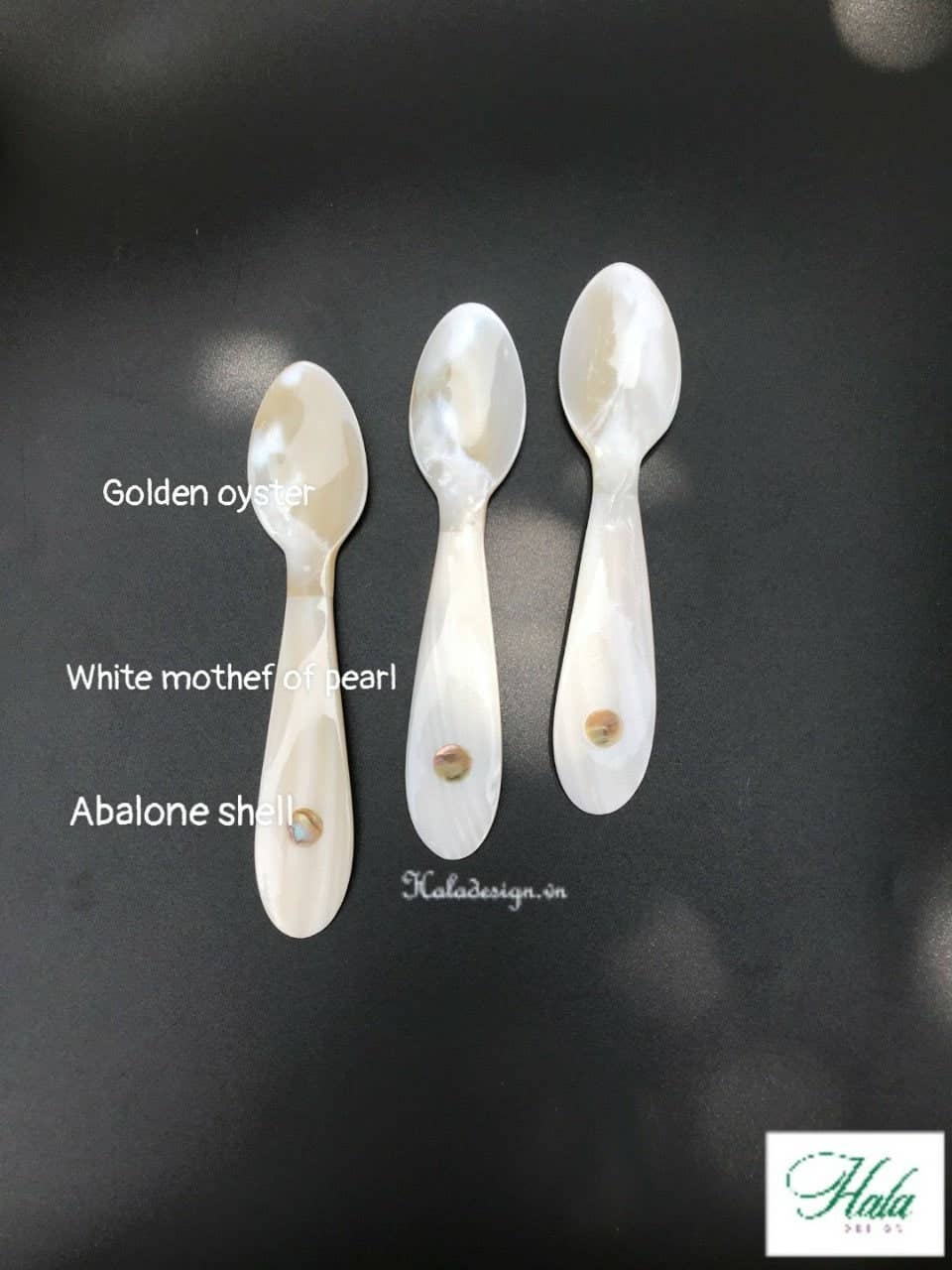 Hala Design - Wholesale Table Spoon (Cutlery) - Mother of Pearl and Golden Oyster Caviar with Abalone Spoon1
