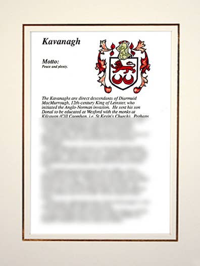 District de Kavanagh pour la vente par Family Histories