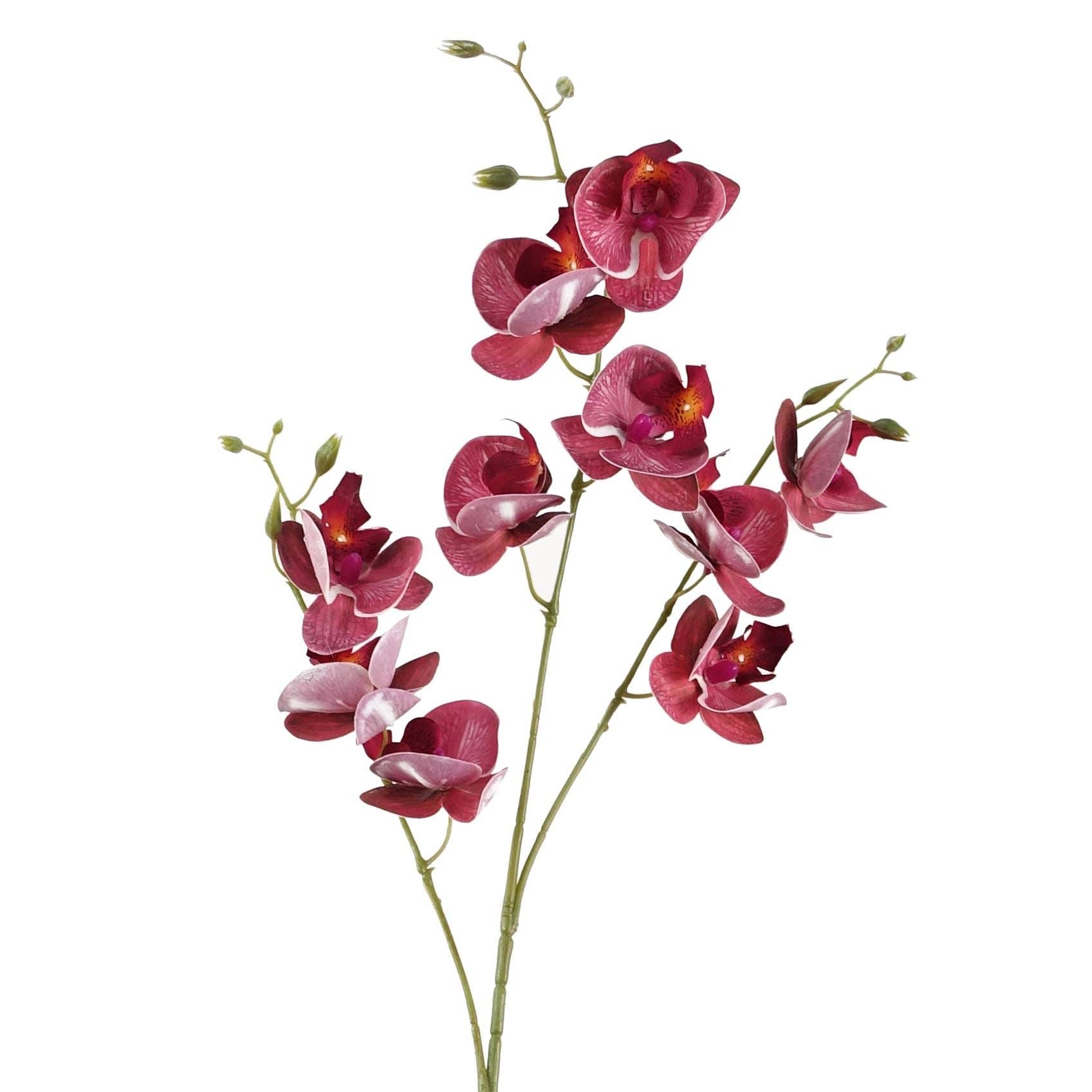 Leaf Design UK LTD - Wholesale Artificial Flowers - Pack 6x Artificial Flowers Dark Pink Mini Orchid Stem 80cm5