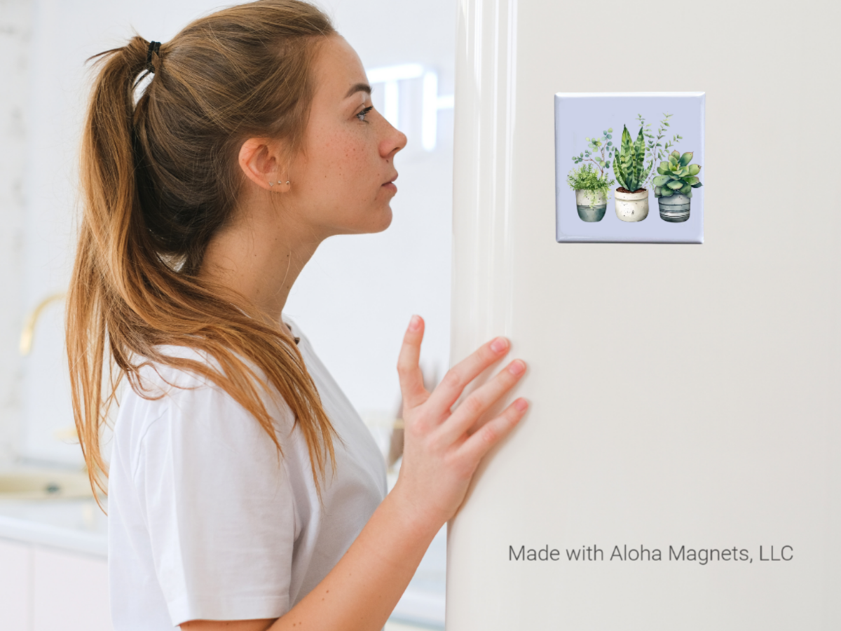 Made With Aloha Magnets,llc - Wholesale Magnet - Succulent Plant 2x2" Magnet-Handmade Fridge Décor2