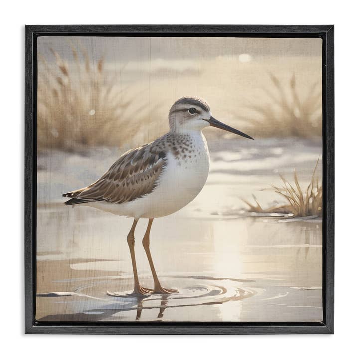 Stupell Industries – wholesale Wall sign – Sunlit Sandpiper in Shallow Water - Framed Wall Art22