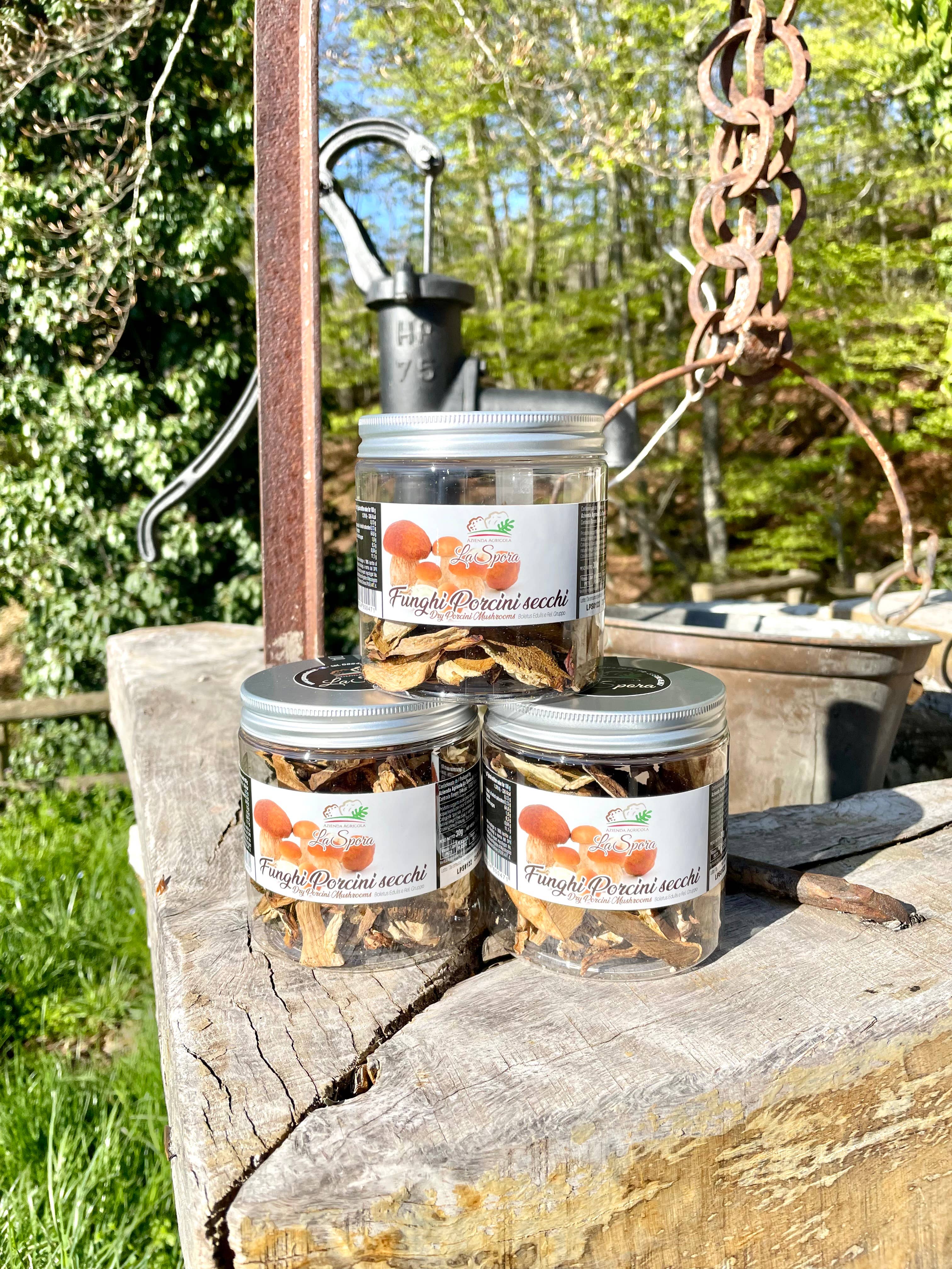 La Spora Tartufi - Wholesale Dried/Dehydrated Vegetables - DRIED PORCINI MUSHROOMS (Boletus Edulis) 30 g2