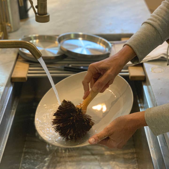 Fox Run Brands - Wholesale Cleaning Brush - Fox Run Natural Dish Brush, Bassine, 8.5"