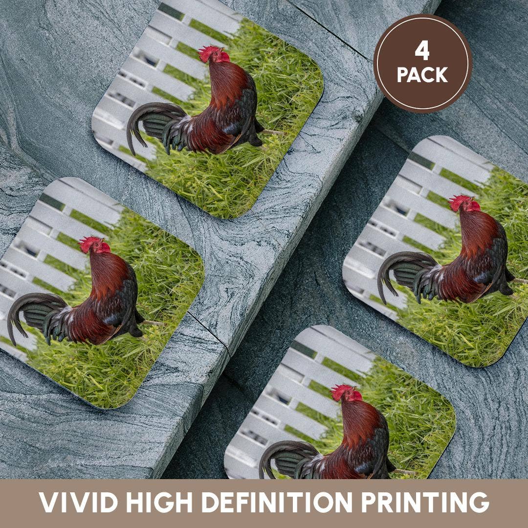 3dRose - Wholesale Coasters - 3dRose, Cubalaya Gypsy Rooster in Key West, Florida, USA., Coaster12