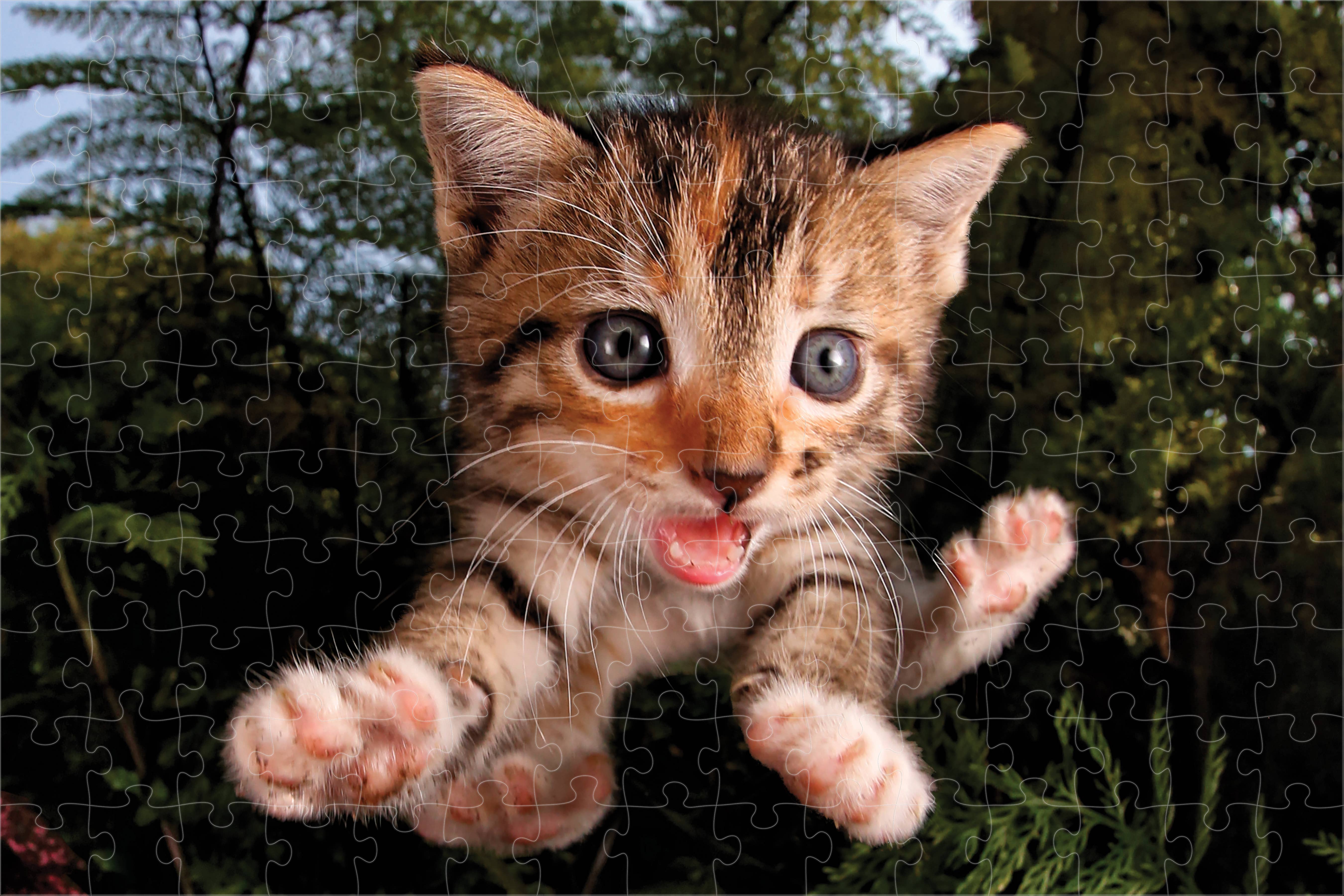 Primemotion, Inc - Wholesale Puzzle - Kids - Pounce Fuzzbucket   150pc 18x12"0