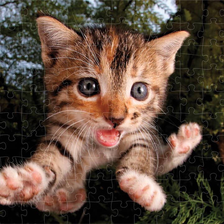 Primemotion, Inc - Vente Puzzle – enfant - Pounce Fuzzbucket 150 pièces 18x12"0