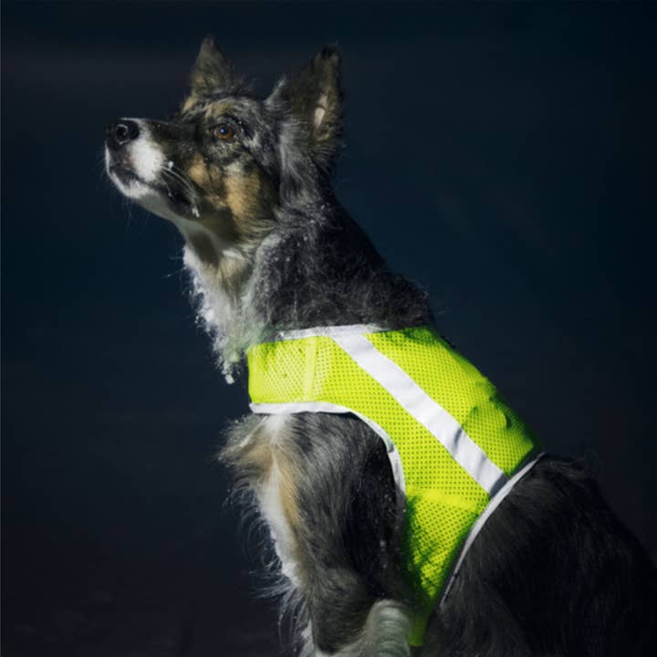 FINNERO - Wholesale Pet Vest - Dog - FINNERO ATTE Reflective Dog Attention Vest, 3 colors4