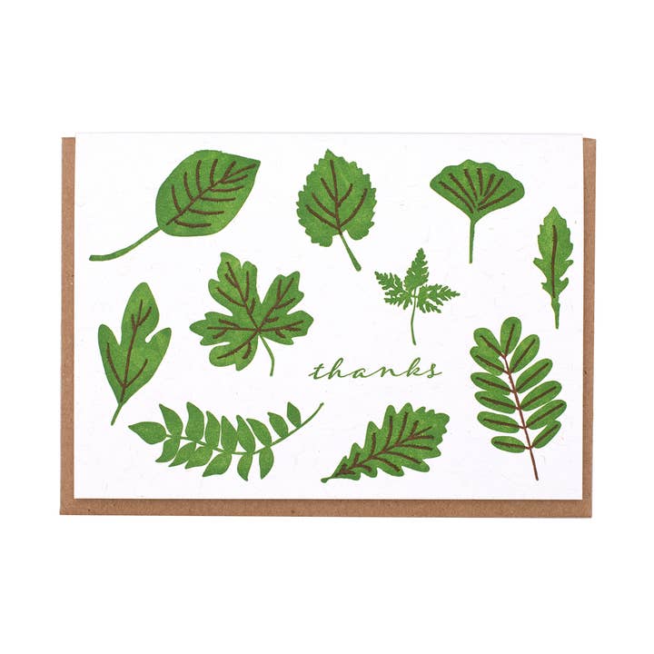 Leaf Thanks Greeting Card Box Set for wholesale by Lady Pilot Letterpress