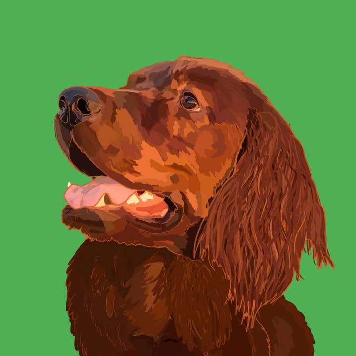 Vert Setter irlandais pour la vente par Dogs And Designs