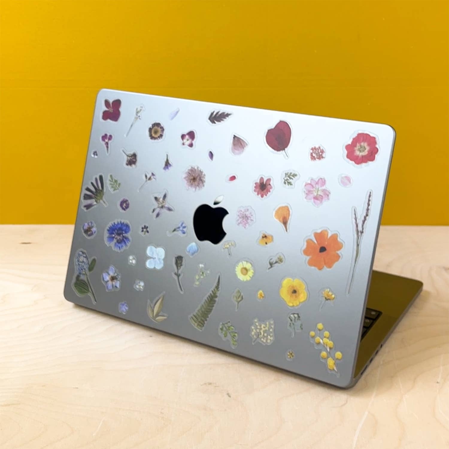 Botanopia USA - gifts , decor and cards for plant lovers - Wholesale Sticker - Pressed Flowers Sticker Sheet20