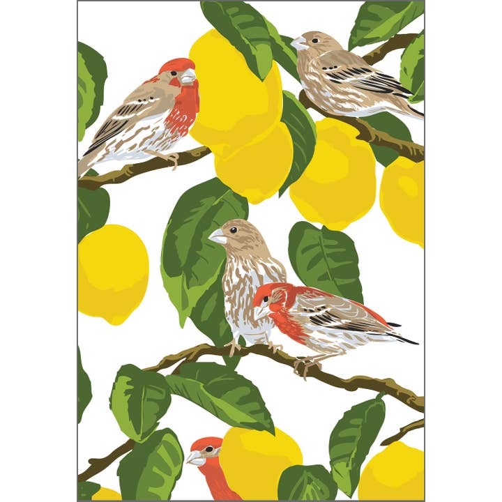 RBI-224 House Finch & Lemons Kunstdruk: Fruit Garden Birds voor wholesale door Rigel Paper