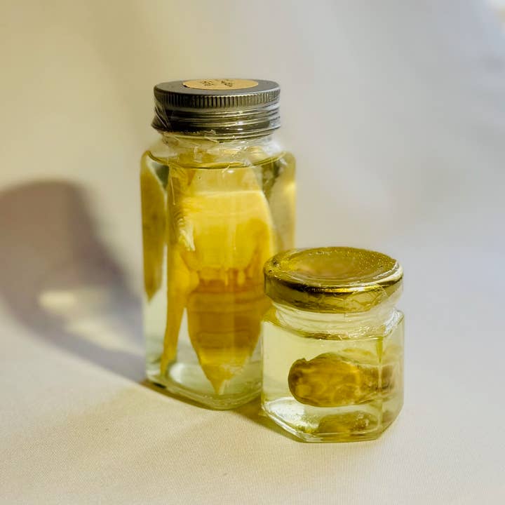 Styx & Stones LLC - Wholesale Decorative Tabletop Object - Chicken Foot Wet Specimen Taxidermy Oddity Curiosity1