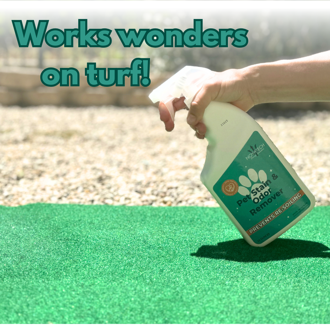 NOYATECH - Wholesale Pet deodorising spray - NOYATECH Pet Stain and Odor Remover - Enzyme Carpet Cleaner and Pet Odor Eliminator for Home. Safe for Pets and kids.7