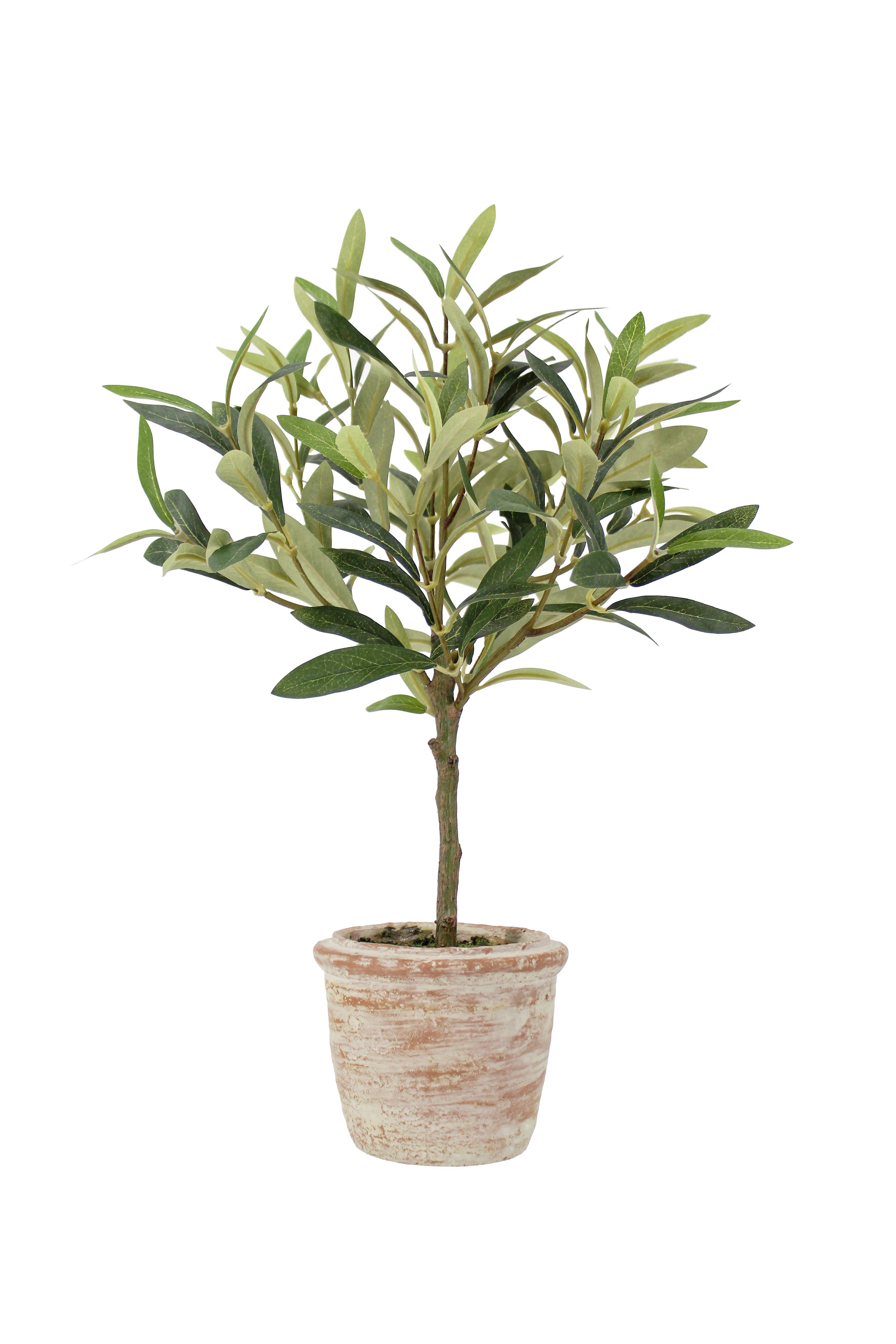 CG Hunter - Wholesale Artificial Plant - 12" Rosemary & 16" Olive Topiary Set4