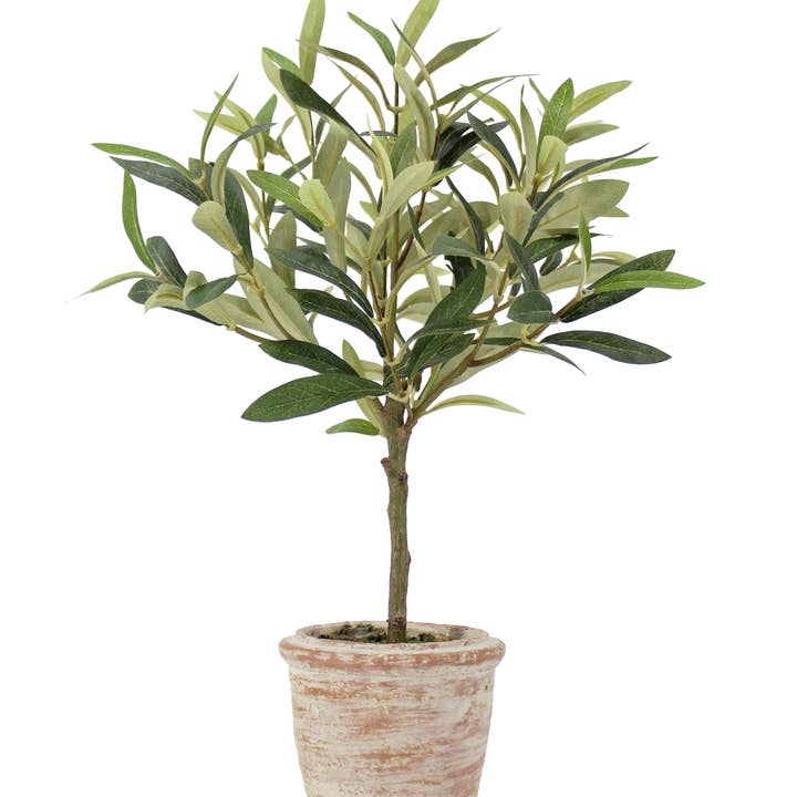 CG Hunter - Wholesale Artificial Plant - 12" Rosemary & 16" Olive Topiary Set4