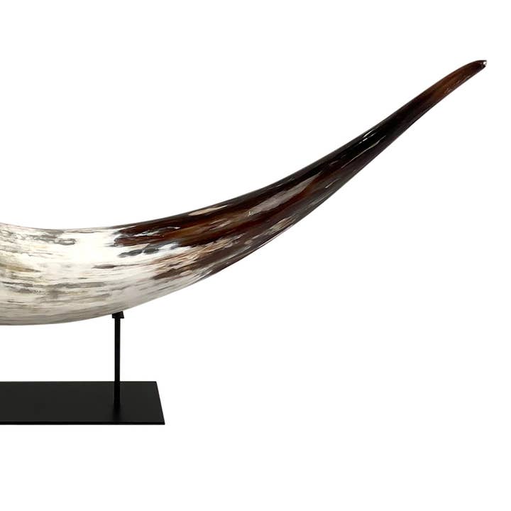 OUTPOST ORIGINAL - Vendita all'ingrosso Decorazioni da tavolo - Corno di bestiame africano Watusi su base in metallo3